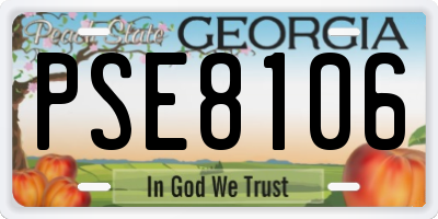 GA license plate PSE8106