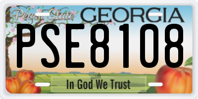 GA license plate PSE8108