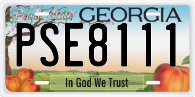 GA license plate PSE8111