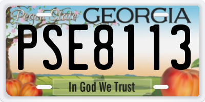 GA license plate PSE8113
