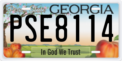 GA license plate PSE8114