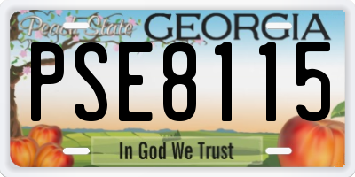 GA license plate PSE8115