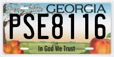 GA license plate PSE8116