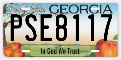 GA license plate PSE8117