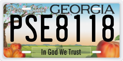 GA license plate PSE8118