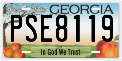 GA license plate PSE8119