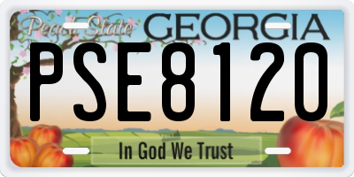 GA license plate PSE8120