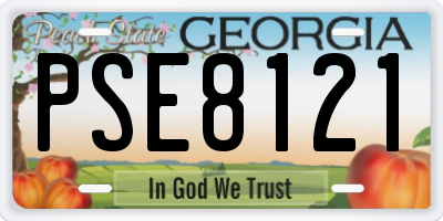 GA license plate PSE8121