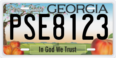 GA license plate PSE8123