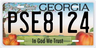 GA license plate PSE8124