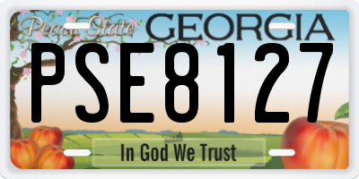 GA license plate PSE8127