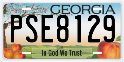 GA license plate PSE8129