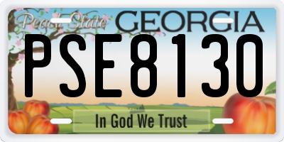 GA license plate PSE8130