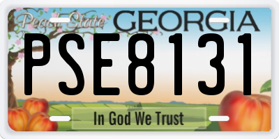 GA license plate PSE8131