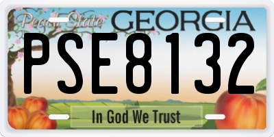 GA license plate PSE8132