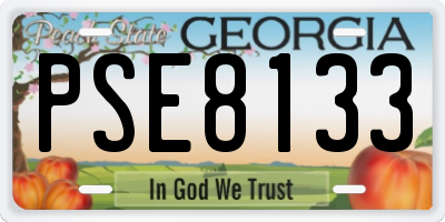 GA license plate PSE8133