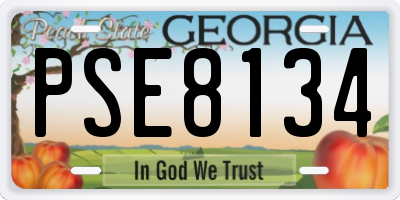GA license plate PSE8134
