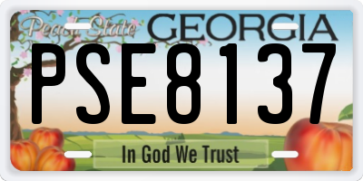 GA license plate PSE8137