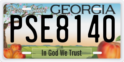 GA license plate PSE8140