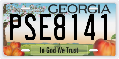 GA license plate PSE8141