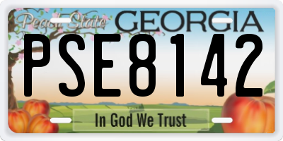 GA license plate PSE8142