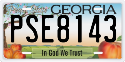 GA license plate PSE8143