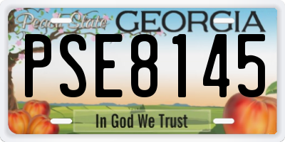 GA license plate PSE8145
