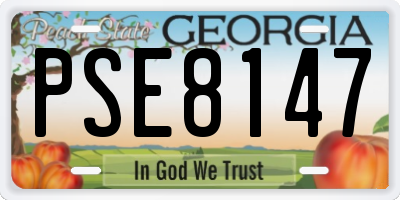 GA license plate PSE8147