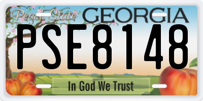 GA license plate PSE8148
