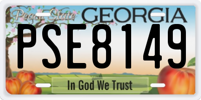 GA license plate PSE8149