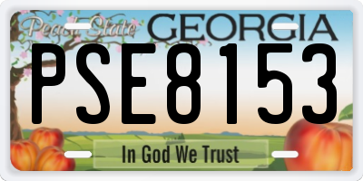GA license plate PSE8153