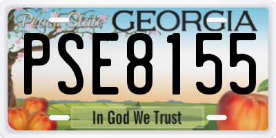 GA license plate PSE8155
