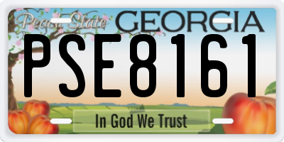 GA license plate PSE8161