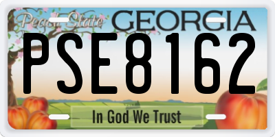 GA license plate PSE8162