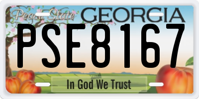 GA license plate PSE8167