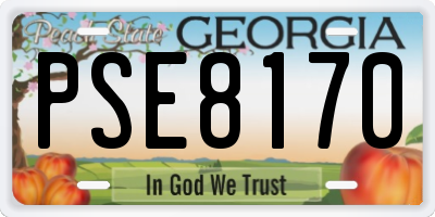 GA license plate PSE8170