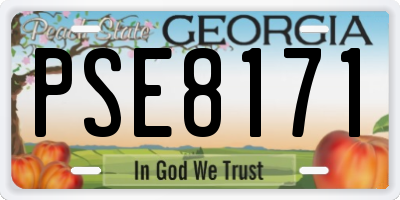 GA license plate PSE8171