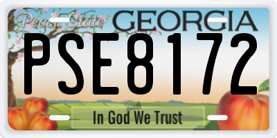 GA license plate PSE8172