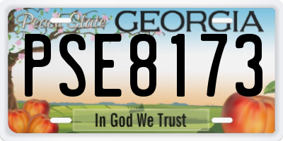 GA license plate PSE8173