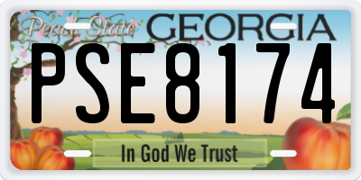 GA license plate PSE8174
