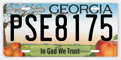 GA license plate PSE8175