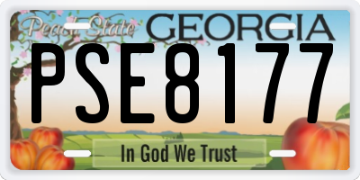 GA license plate PSE8177