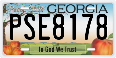 GA license plate PSE8178