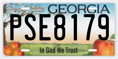 GA license plate PSE8179