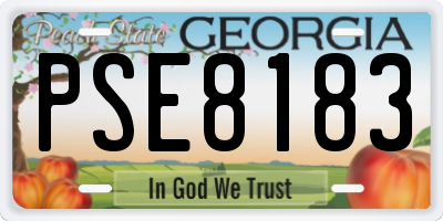 GA license plate PSE8183