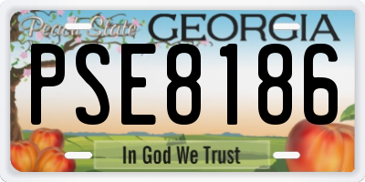 GA license plate PSE8186