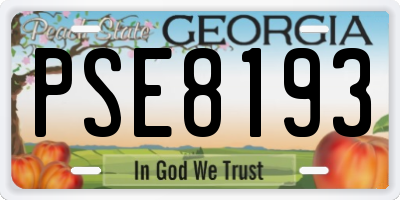 GA license plate PSE8193