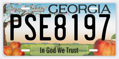 GA license plate PSE8197