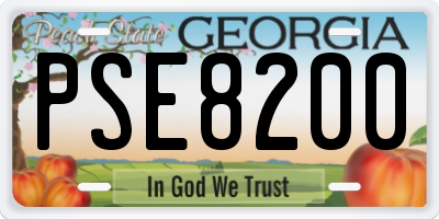 GA license plate PSE8200