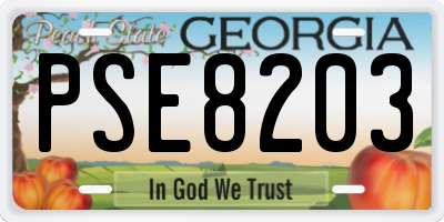 GA license plate PSE8203